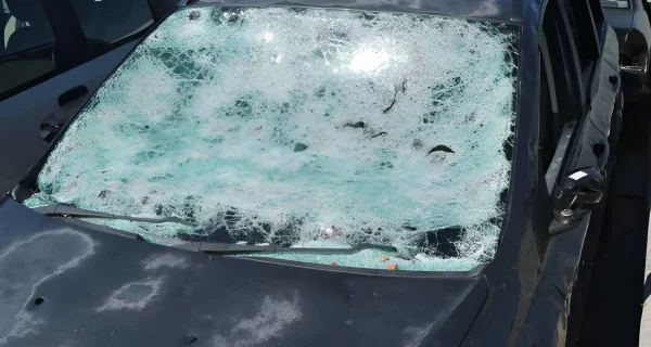 steptodown.com471487